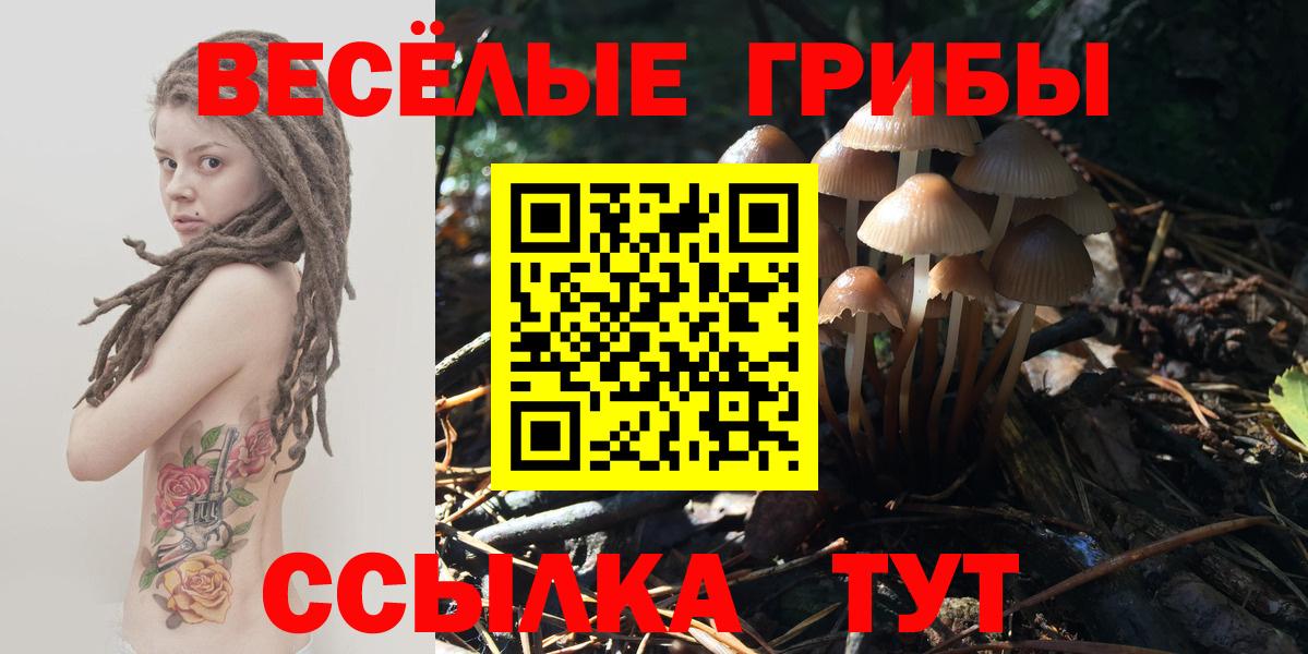 Галлюциногенные грибы мицелий Медногорск