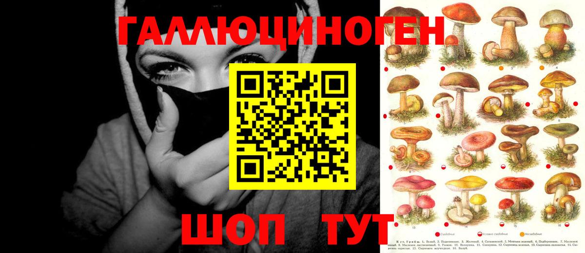 Псилоцибиновые грибы мицелий  Псилоцибиновые грибы Magic Shrooms  Медногорск  Вход с VPN 